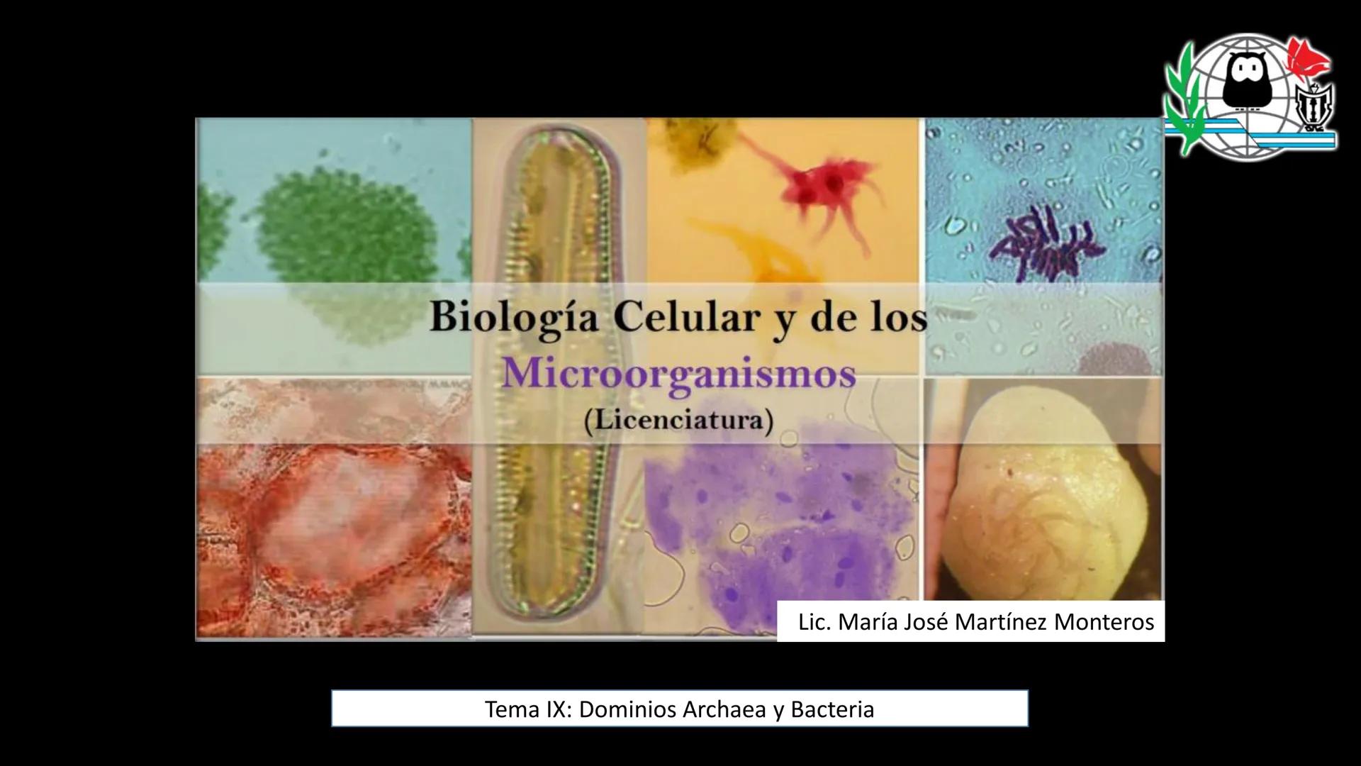 Biología Celular y de los
Microorganismos
(Licenciatura)
Lic. María José Martínez Monteros
Tema IX: Dominios Archaea y Bacteria Flavobacte