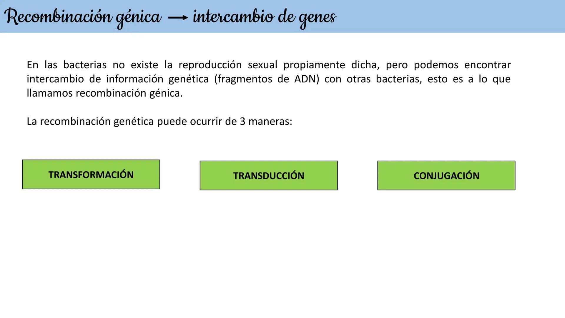 Biología Celular y de los
Microorganismos
(Licenciatura)
Lic. María José Martínez Monteros
Tema IX: Dominios Archaea y Bacteria Flavobacte