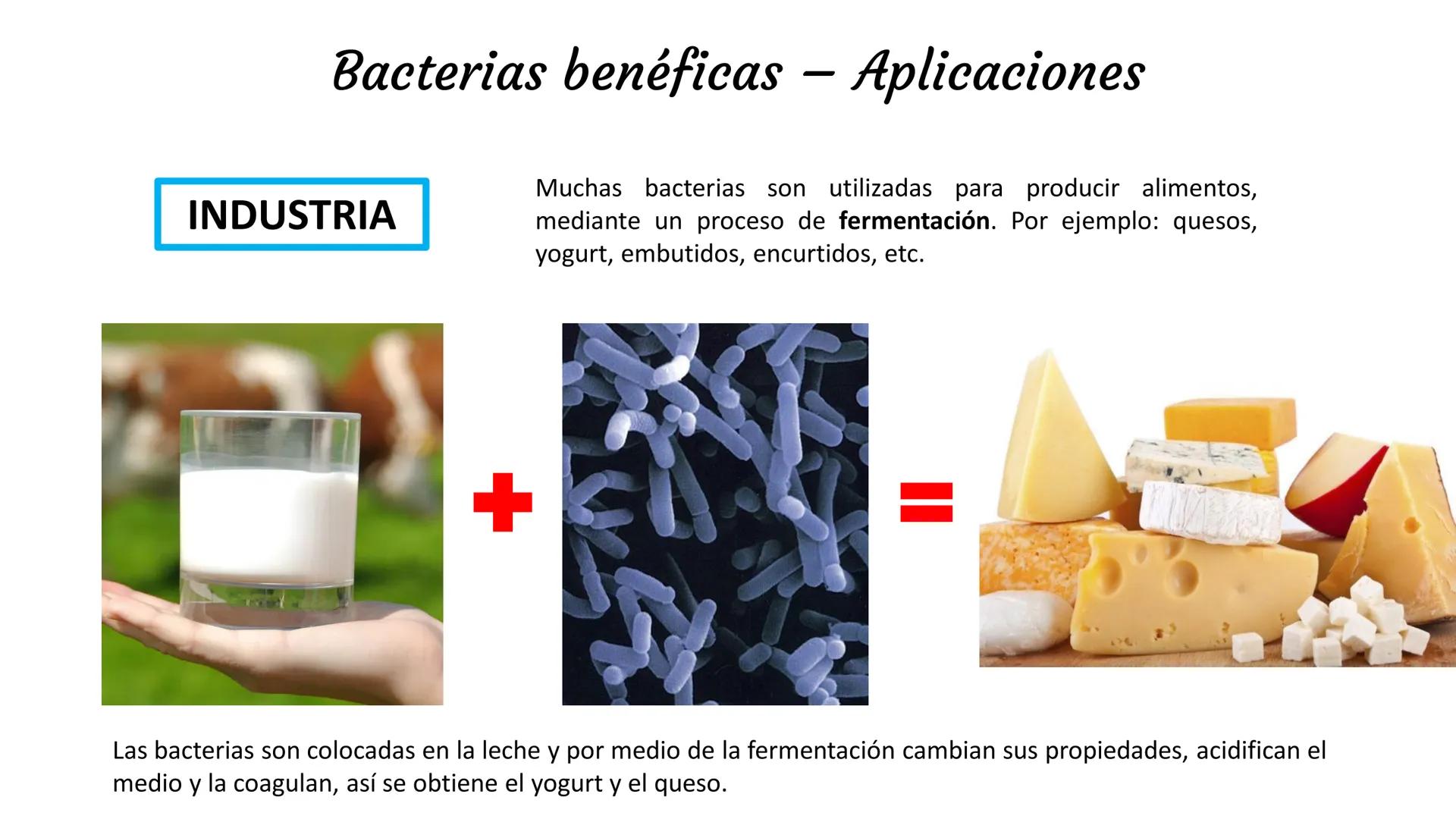 Biología Celular y de los
Microorganismos
(Licenciatura)
Lic. María José Martínez Monteros
Tema IX: Dominios Archaea y Bacteria Flavobacte