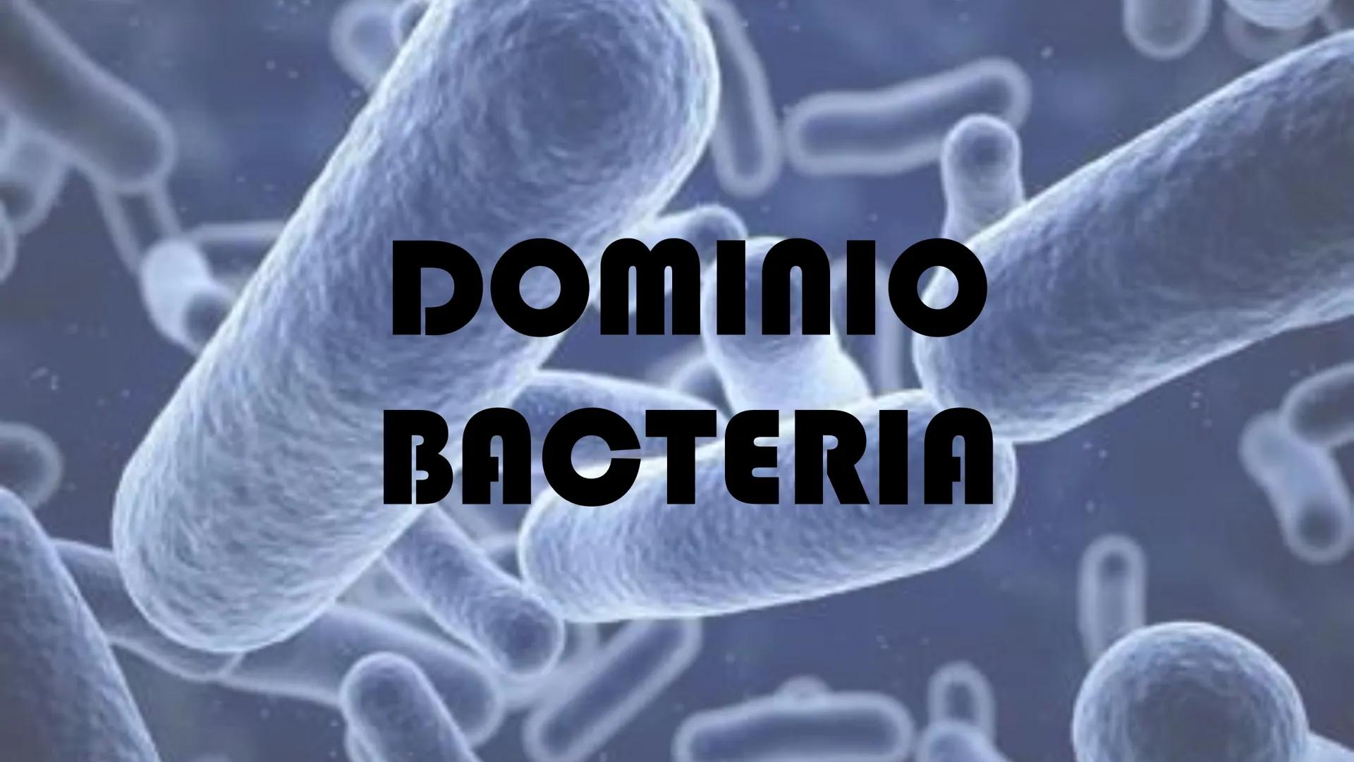 Biología Celular y de los
Microorganismos
(Licenciatura)
Lic. María José Martínez Monteros
Tema IX: Dominios Archaea y Bacteria Flavobacte