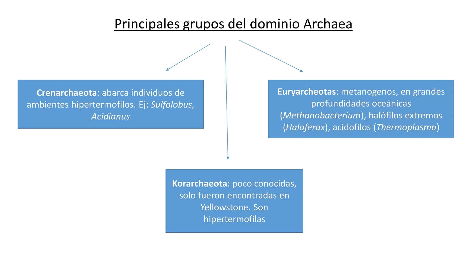 Biología Celular y de los
Microorganismos
(Licenciatura)
Lic. María José Martínez Monteros
Tema IX: Dominios Archaea y Bacteria Flavobacte