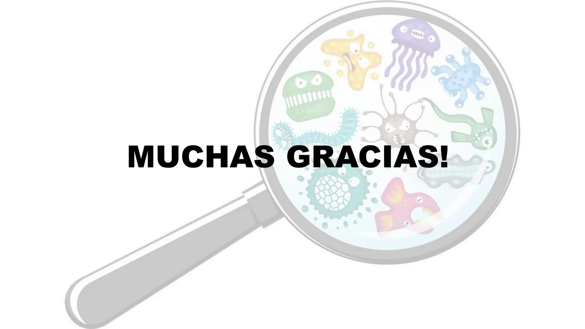 Biología Celular y de los
Microorganismos
(Licenciatura)
Lic. María José Martínez Monteros
Tema IX: Dominios Archaea y Bacteria Flavobacte