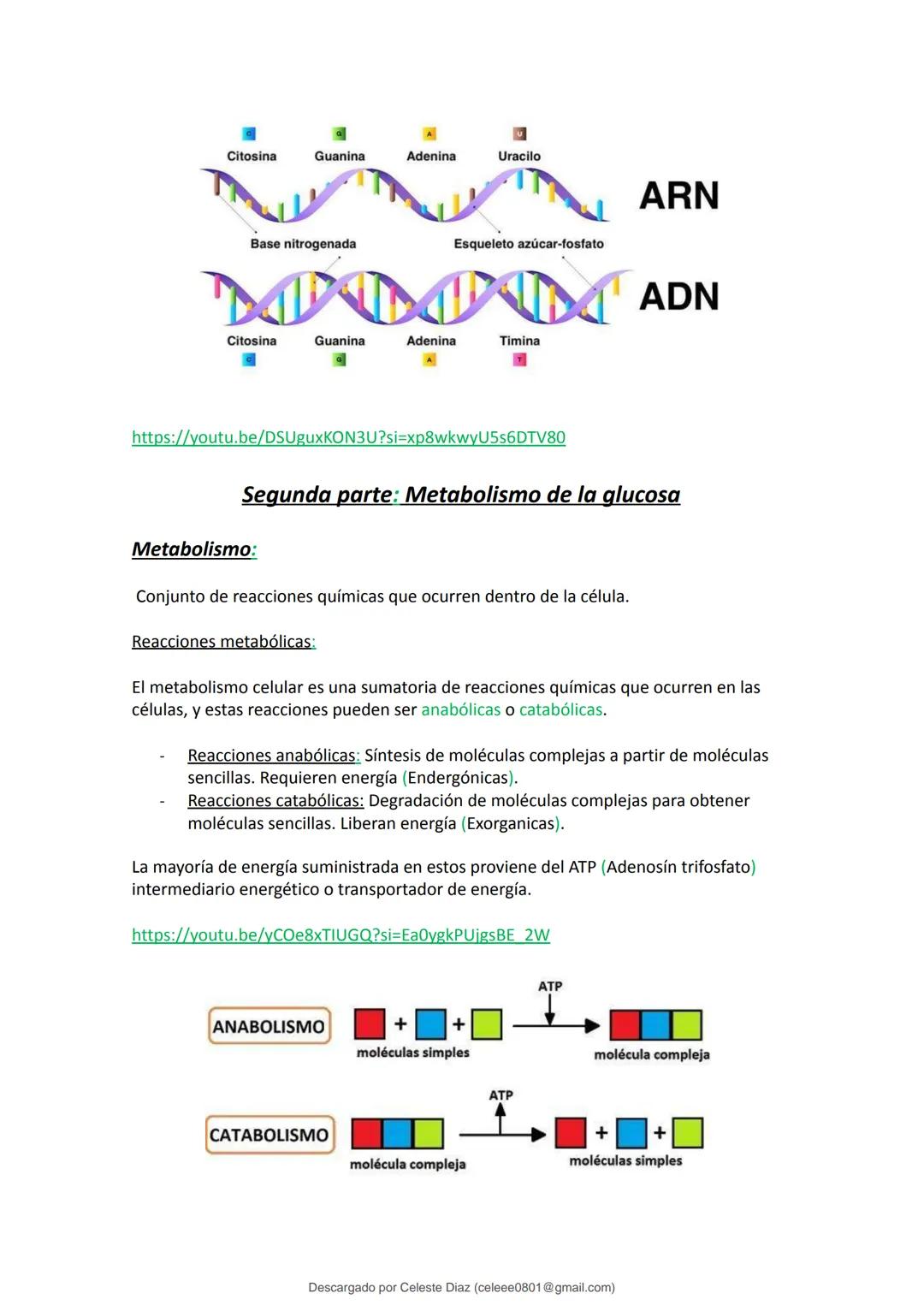 studocu
Resumen Biologia Unlam 2024 Oficialdocx 240207 213103
biologia (curso de ingreso) (Universidad Nacional de La Matanza)
Escanea p
