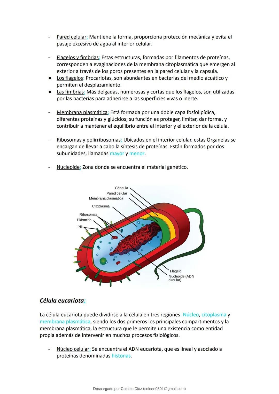 studocu
Resumen Biologia Unlam 2024 Oficialdocx 240207 213103
biologia (curso de ingreso) (Universidad Nacional de La Matanza)
Escanea p
