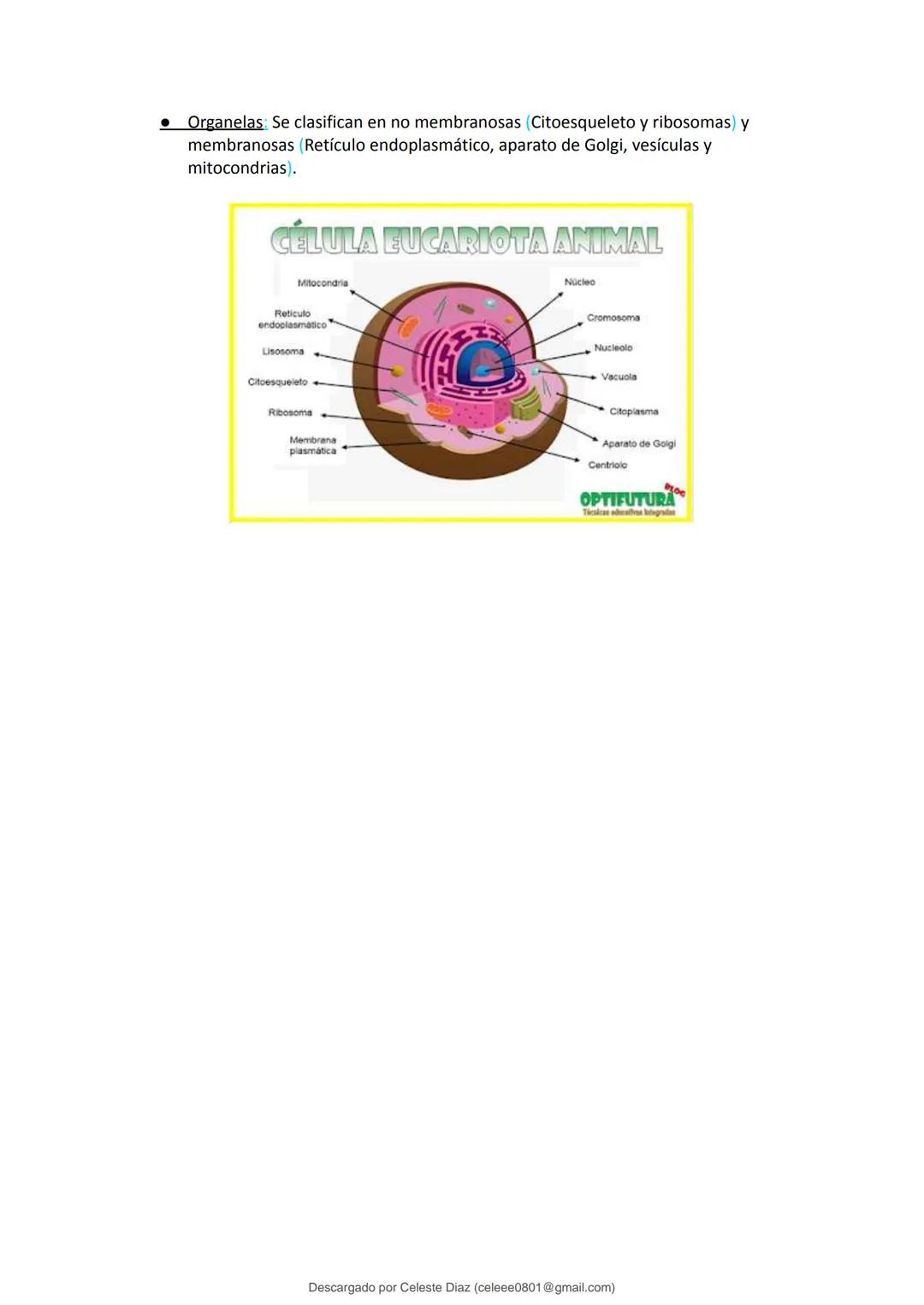 studocu
Resumen Biologia Unlam 2024 Oficialdocx 240207 213103
biologia (curso de ingreso) (Universidad Nacional de La Matanza)
Escanea p