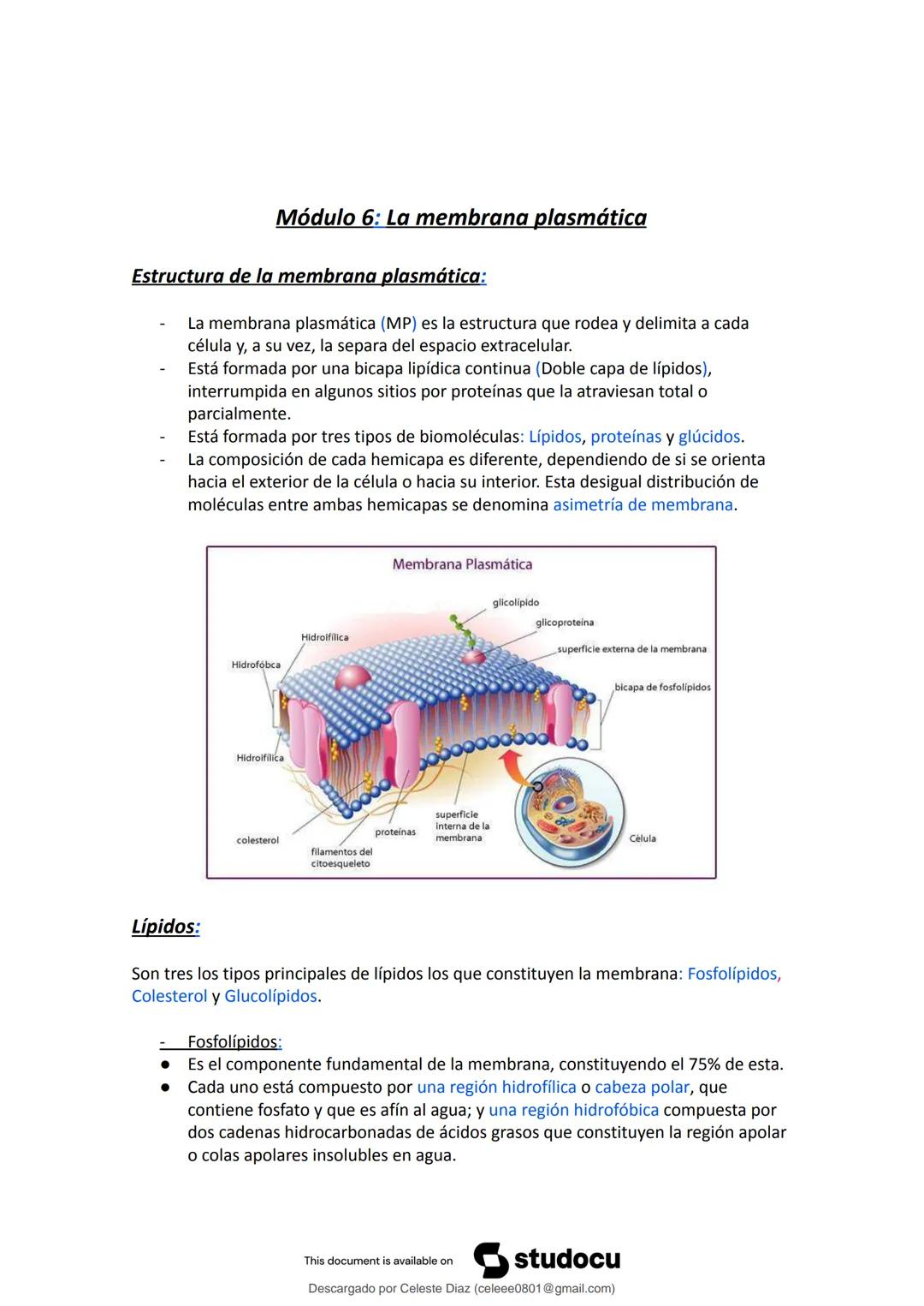 studocu
Resumen Biologia Unlam 2024 Oficialdocx 240207 213103
biologia (curso de ingreso) (Universidad Nacional de La Matanza)
Escanea p