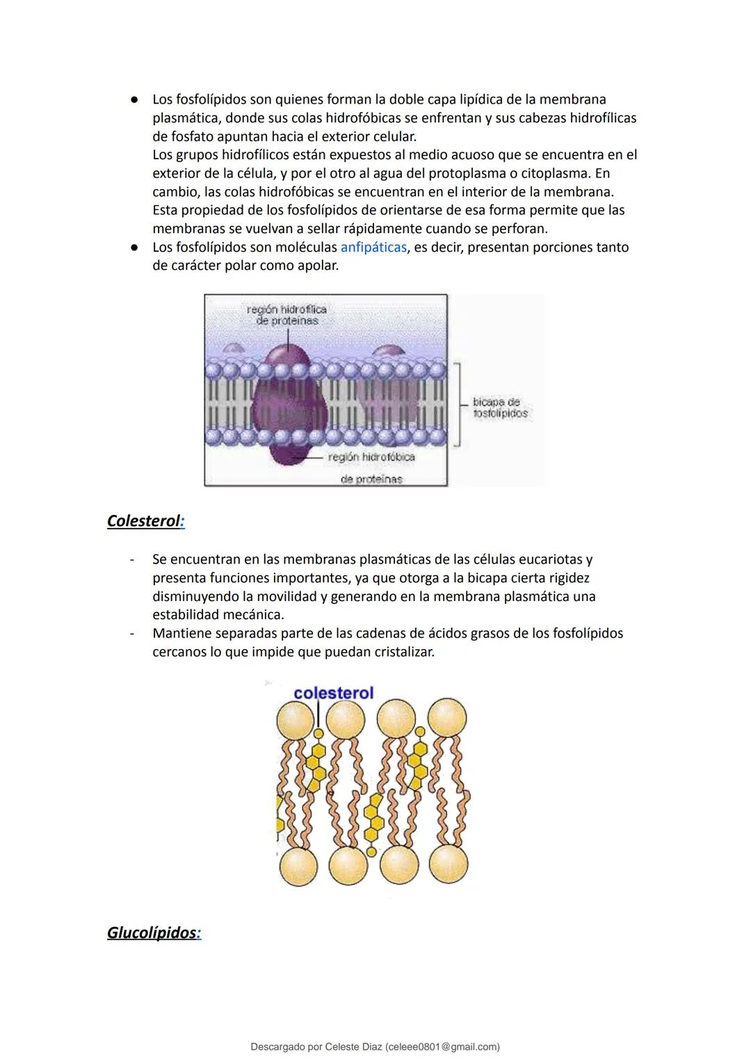 studocu
Resumen Biologia Unlam 2024 Oficialdocx 240207 213103
biologia (curso de ingreso) (Universidad Nacional de La Matanza)
Escanea p