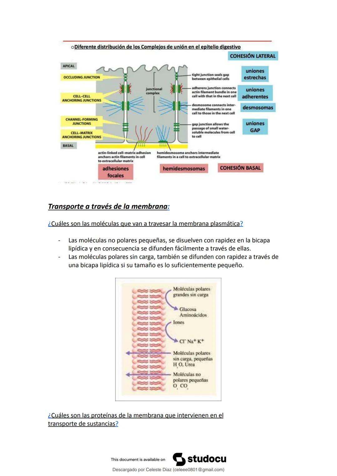 studocu
Resumen Biologia Unlam 2024 Oficialdocx 240207 213103
biologia (curso de ingreso) (Universidad Nacional de La Matanza)
Escanea p