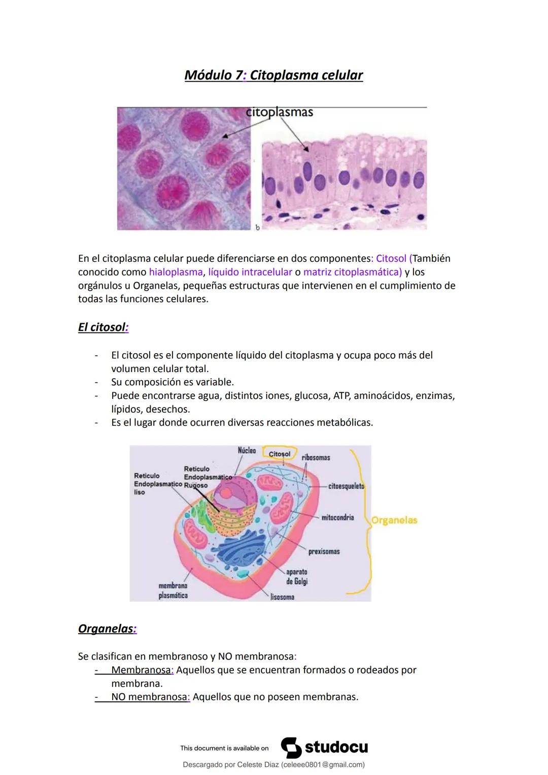 studocu
Resumen Biologia Unlam 2024 Oficialdocx 240207 213103
biologia (curso de ingreso) (Universidad Nacional de La Matanza)
Escanea p