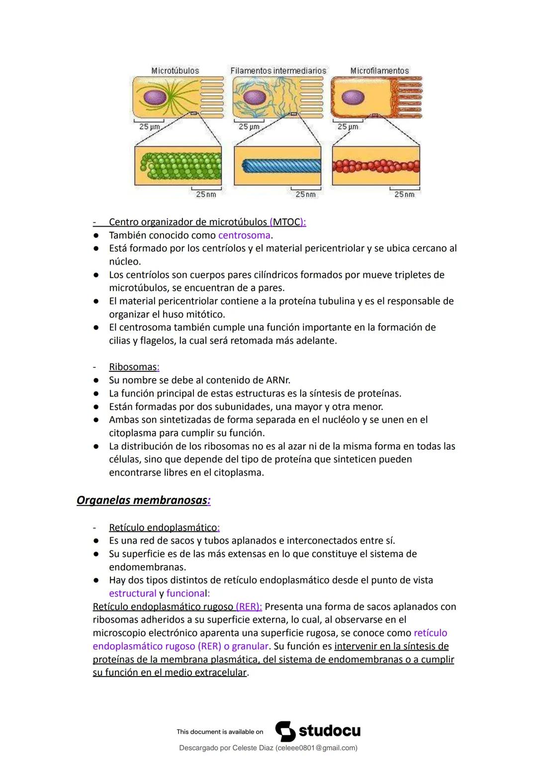 studocu
Resumen Biologia Unlam 2024 Oficialdocx 240207 213103
biologia (curso de ingreso) (Universidad Nacional de La Matanza)
Escanea p