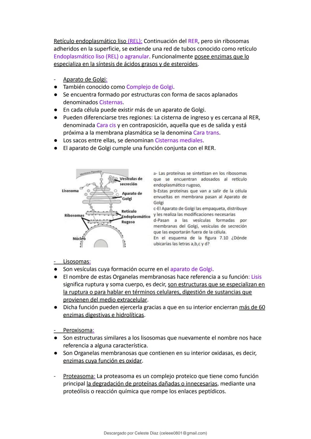 studocu
Resumen Biologia Unlam 2024 Oficialdocx 240207 213103
biologia (curso de ingreso) (Universidad Nacional de La Matanza)
Escanea p