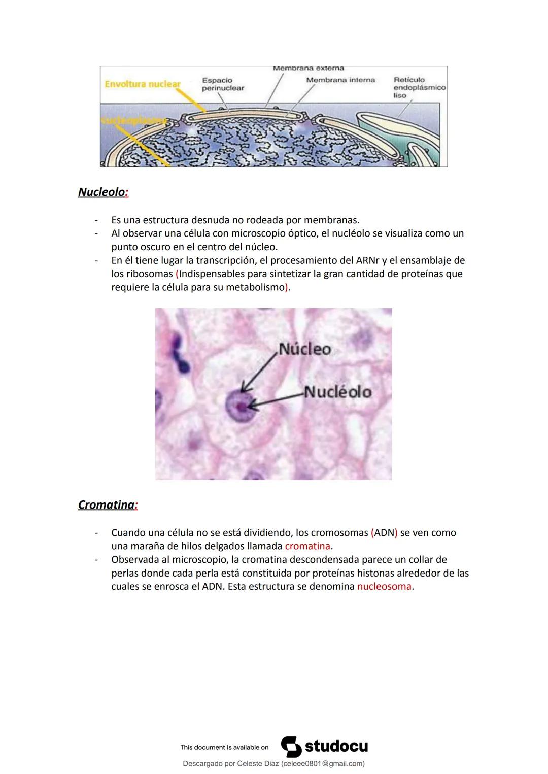 studocu
Resumen Biologia Unlam 2024 Oficialdocx 240207 213103
biologia (curso de ingreso) (Universidad Nacional de La Matanza)
Escanea p