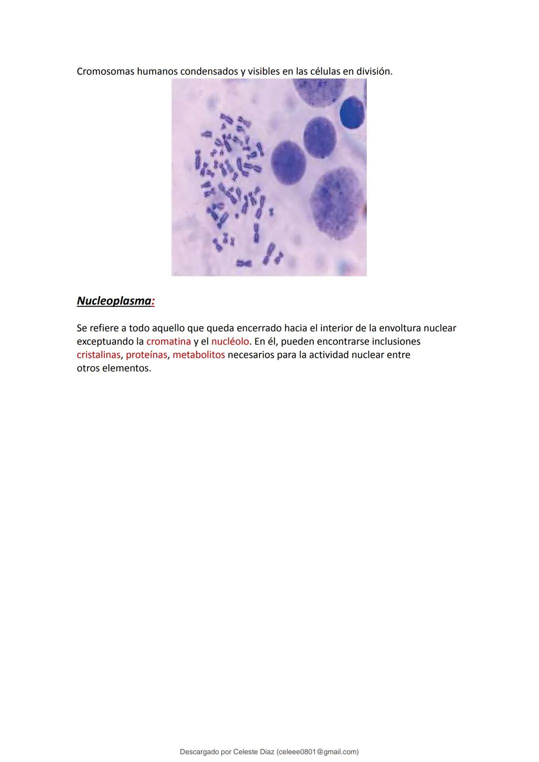 studocu
Resumen Biologia Unlam 2024 Oficialdocx 240207 213103
biologia (curso de ingreso) (Universidad Nacional de La Matanza)
Escanea p