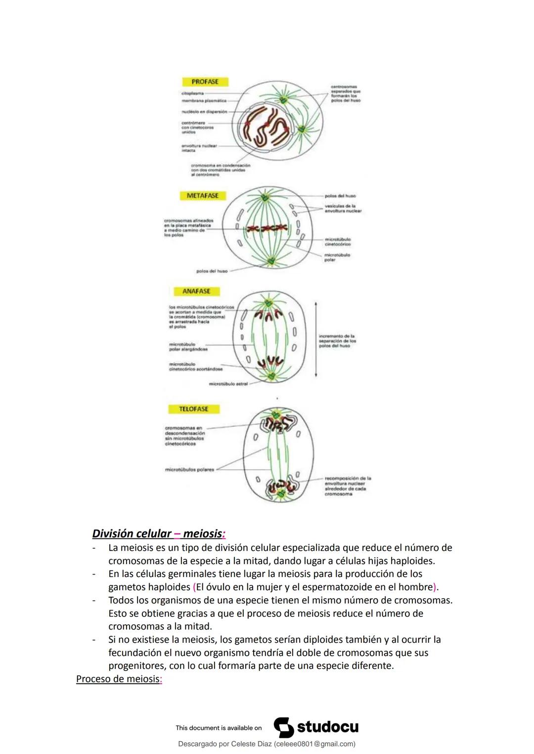 studocu
Resumen Biologia Unlam 2024 Oficialdocx 240207 213103
biologia (curso de ingreso) (Universidad Nacional de La Matanza)
Escanea p