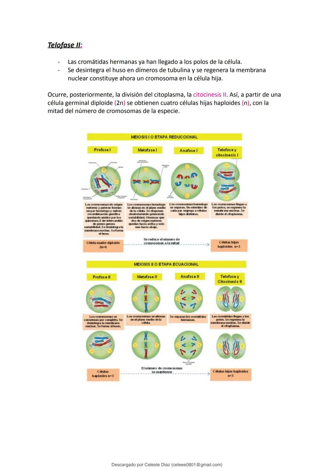 studocu
Resumen Biologia Unlam 2024 Oficialdocx 240207 213103
biologia (curso de ingreso) (Universidad Nacional de La Matanza)
Escanea p