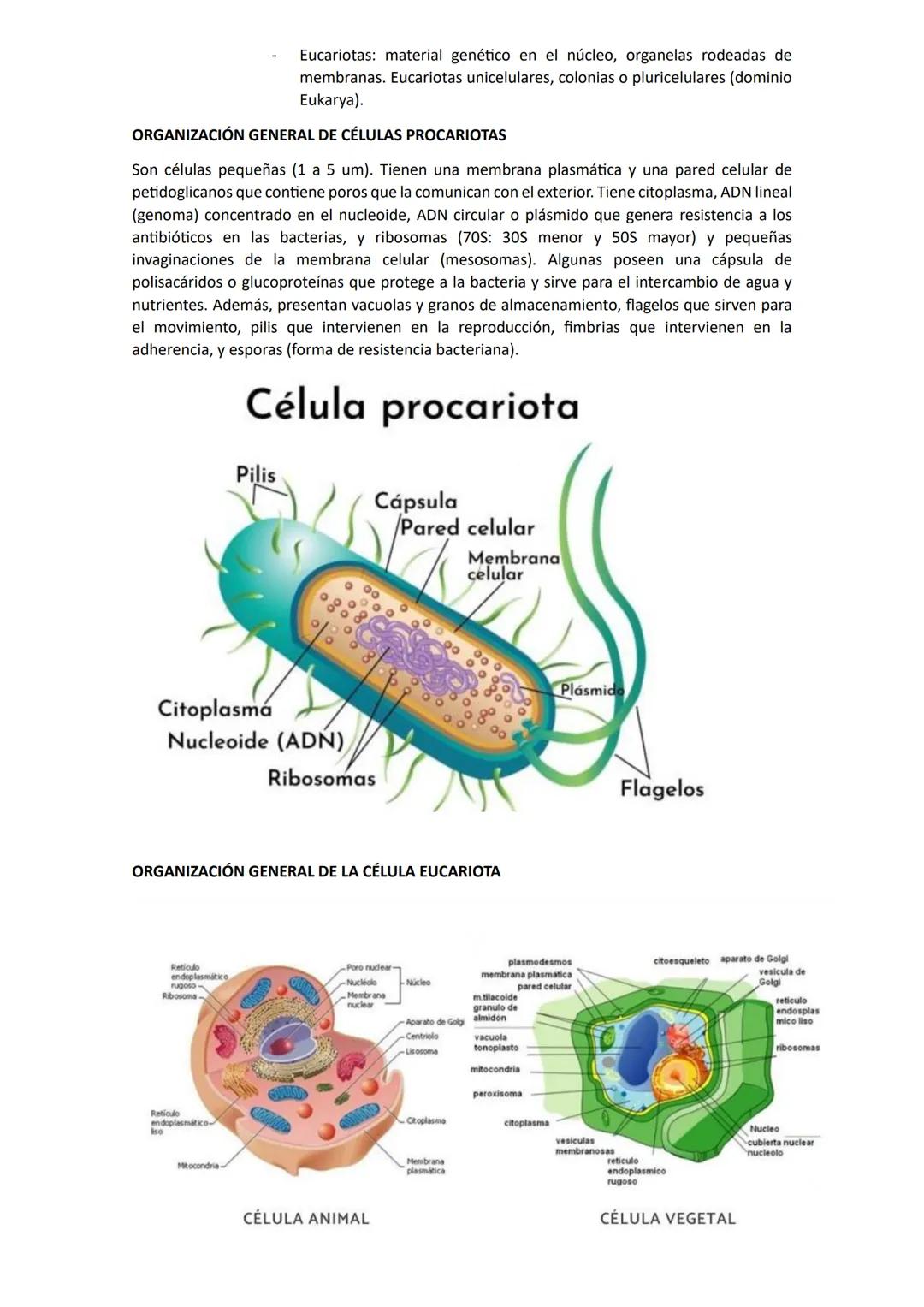 # Biología
## Unidad 1: Biologia
La biología es una ciencia que estudia la vida y las múltiples formas que pueden adoptar los seres
vivos,