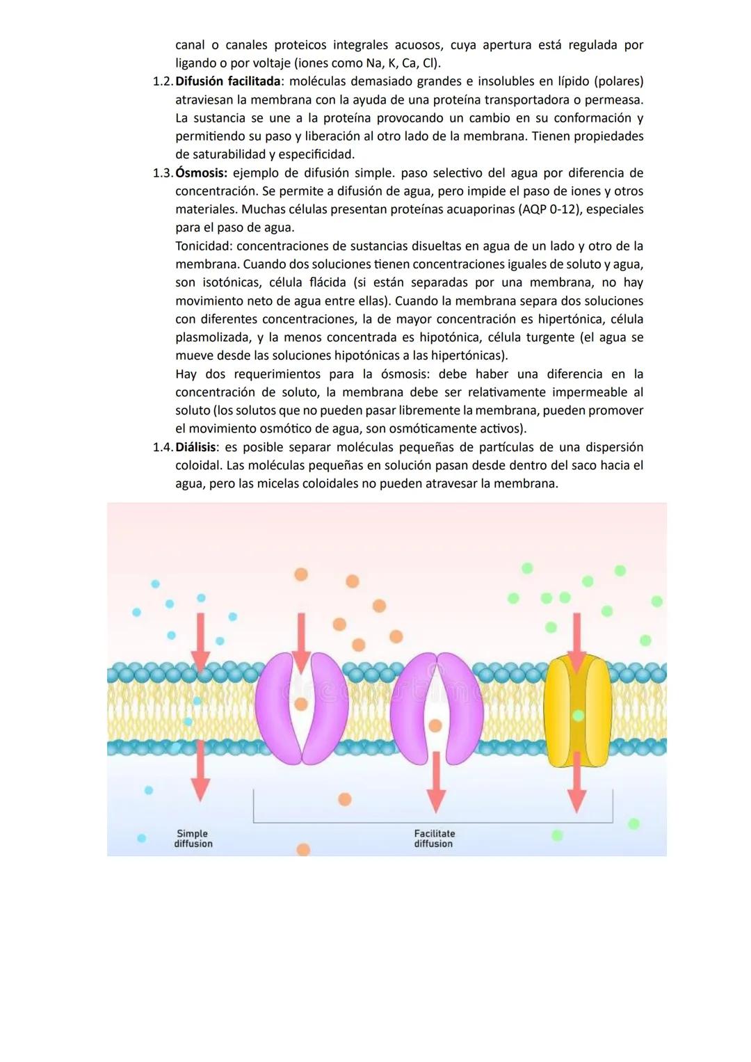 # Biología
## Unidad 1: Biologia
La biología es una ciencia que estudia la vida y las múltiples formas que pueden adoptar los seres
vivos,