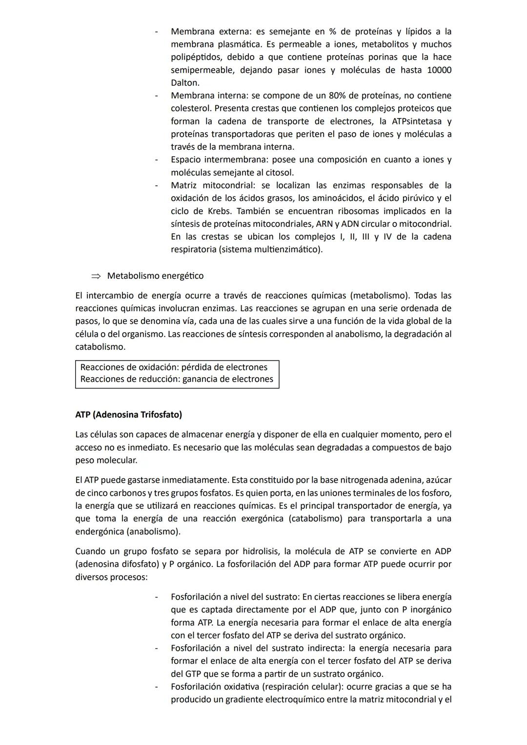 # Biología
## Unidad 1: Biologia
La biología es una ciencia que estudia la vida y las múltiples formas que pueden adoptar los seres
vivos,