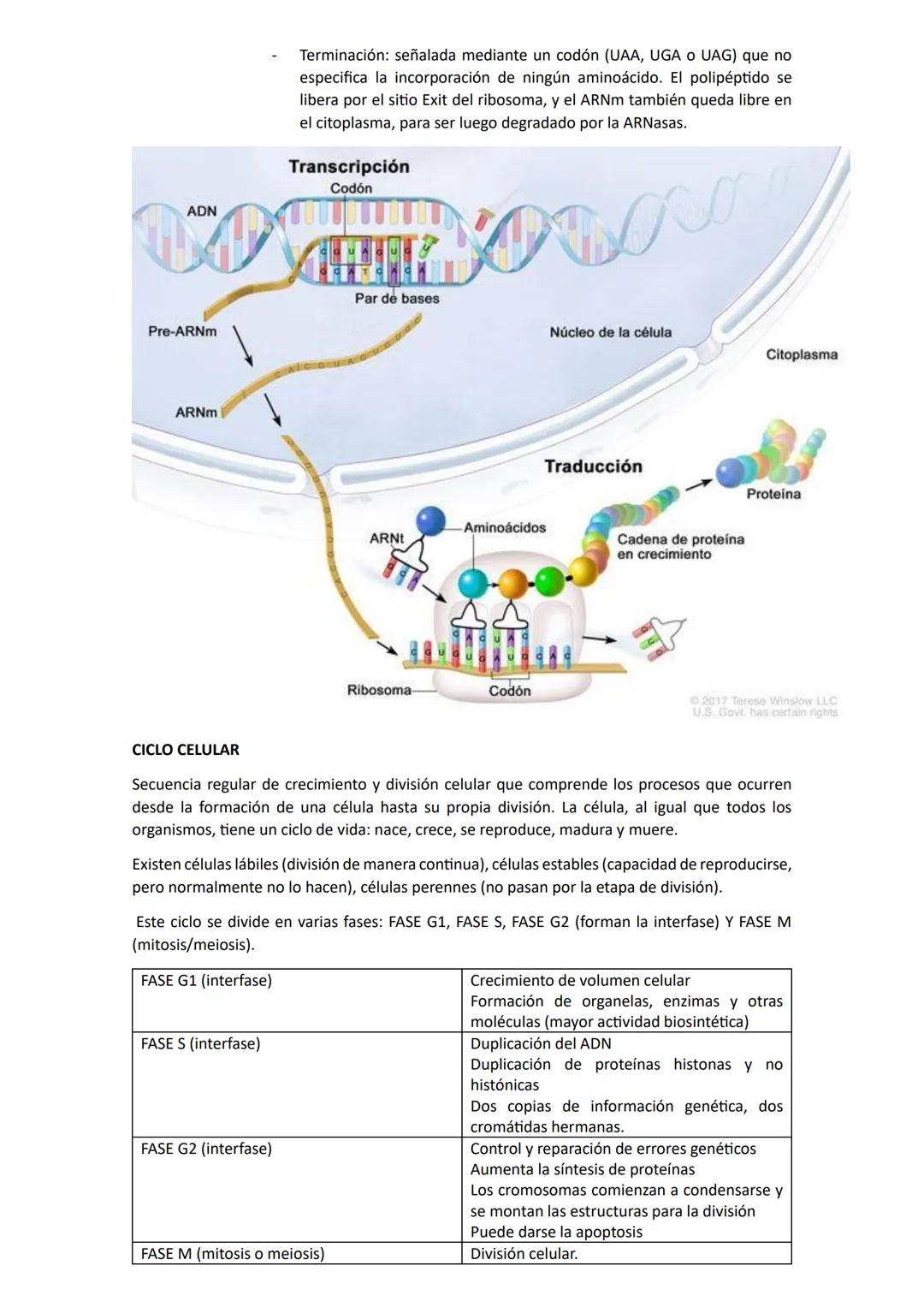 # Biología
## Unidad 1: Biologia
La biología es una ciencia que estudia la vida y las múltiples formas que pueden adoptar los seres
vivos,