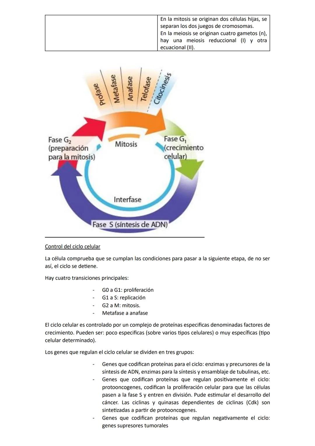 # Biología
## Unidad 1: Biologia
La biología es una ciencia que estudia la vida y las múltiples formas que pueden adoptar los seres
vivos,
