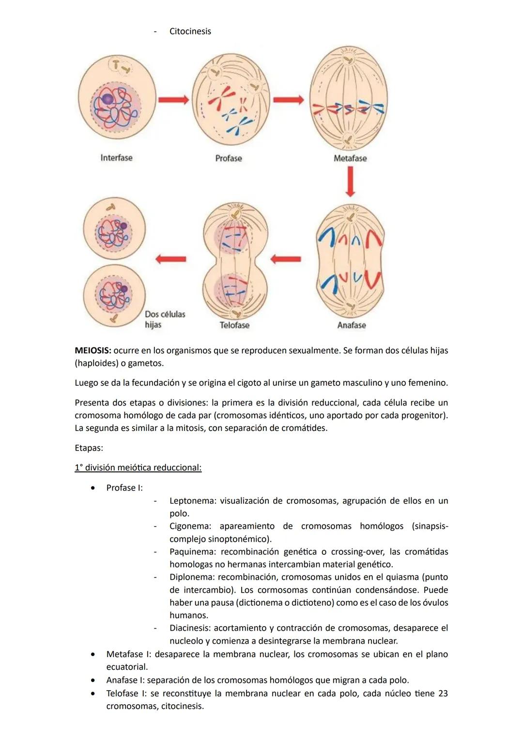 # Biología
## Unidad 1: Biologia
La biología es una ciencia que estudia la vida y las múltiples formas que pueden adoptar los seres
vivos,
