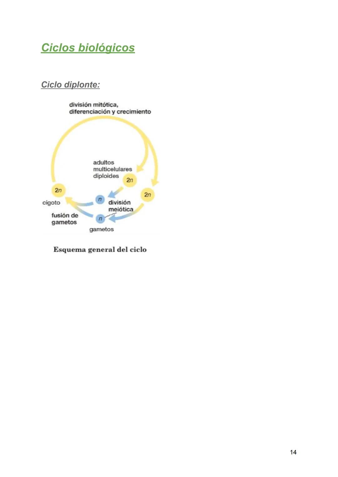 # Resumen de biologia
Examen final
# Piotuviante
El piotuviante es un término hipotético que podría referirse a la primera célula o grupo d