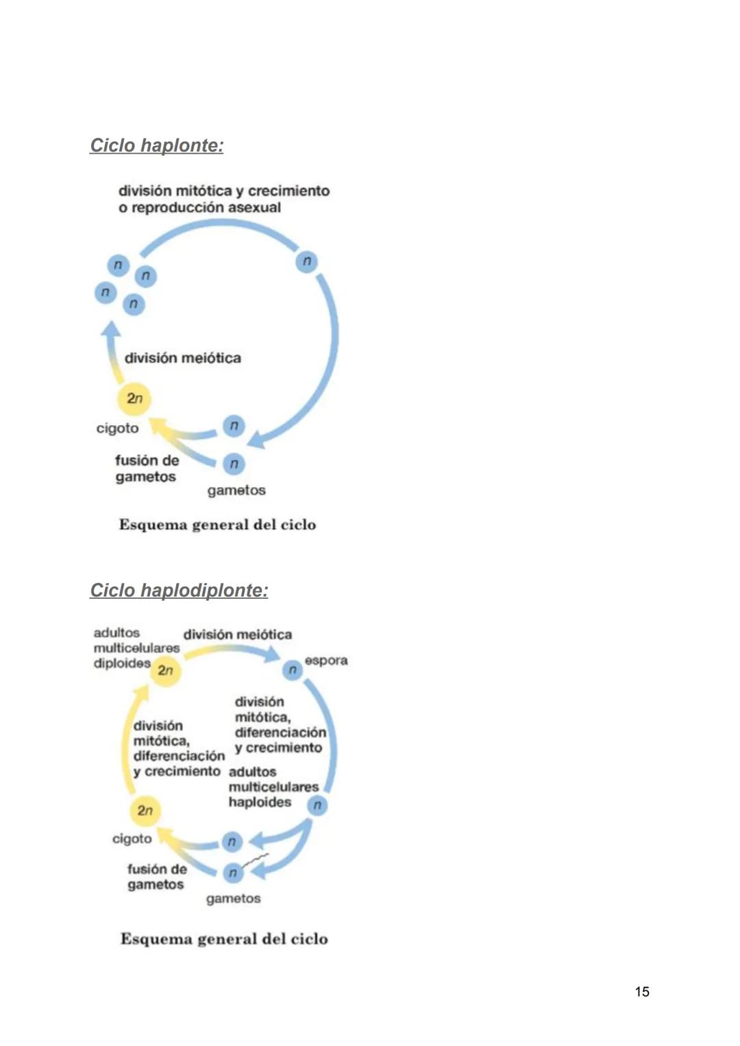 # Resumen de biologia
Examen final
# Piotuviante
El piotuviante es un término hipotético que podría referirse a la primera célula o grupo d