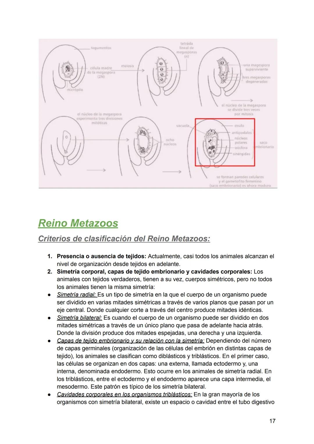 # Resumen de biologia
Examen final
# Piotuviante
El piotuviante es un término hipotético que podría referirse a la primera célula o grupo d