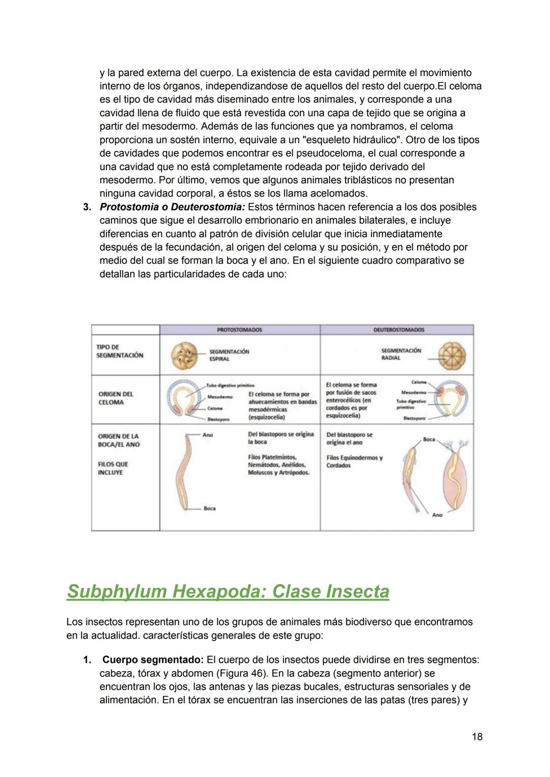 # Resumen de biologia
Examen final
# Piotuviante
El piotuviante es un término hipotético que podría referirse a la primera célula o grupo d