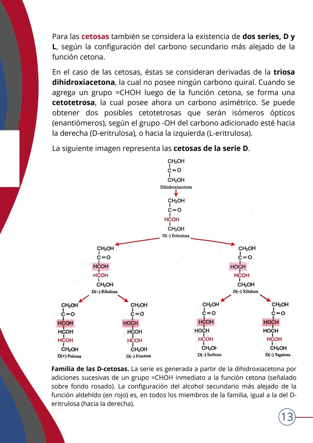 # TEMA 4
NIVEL MOLECULAR: BIOMOLÉCULAS. HIDRATOS DE
CARBONO
▶ INTRODUCCIÓN
¿Qué son las biomoléculas?
Las BIOMOLÉCULAS son las moléculas c