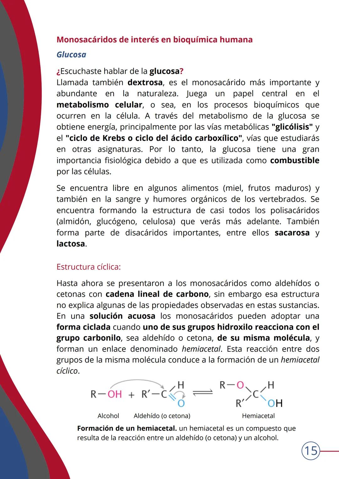 # TEMA 4
NIVEL MOLECULAR: BIOMOLÉCULAS. HIDRATOS DE
CARBONO
▶ INTRODUCCIÓN
¿Qué son las biomoléculas?
Las BIOMOLÉCULAS son las moléculas c