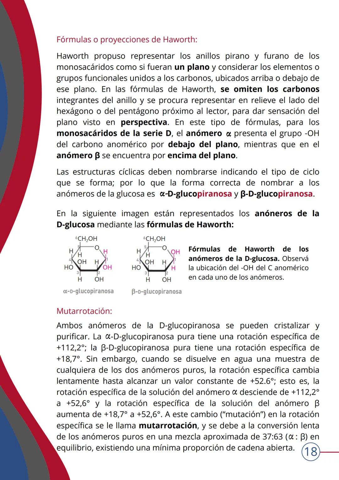 # TEMA 4
NIVEL MOLECULAR: BIOMOLÉCULAS. HIDRATOS DE
CARBONO
▶ INTRODUCCIÓN
¿Qué son las biomoléculas?
Las BIOMOLÉCULAS son las moléculas c