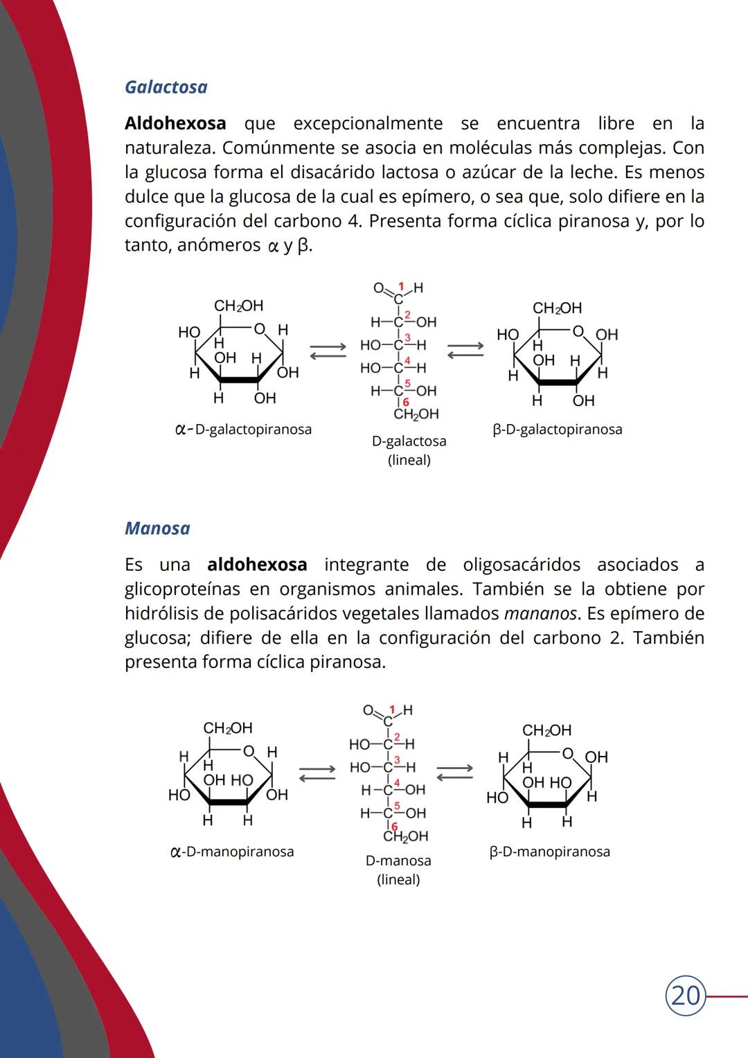 # TEMA 4
NIVEL MOLECULAR: BIOMOLÉCULAS. HIDRATOS DE
CARBONO
▶ INTRODUCCIÓN
¿Qué son las biomoléculas?
Las BIOMOLÉCULAS son las moléculas c