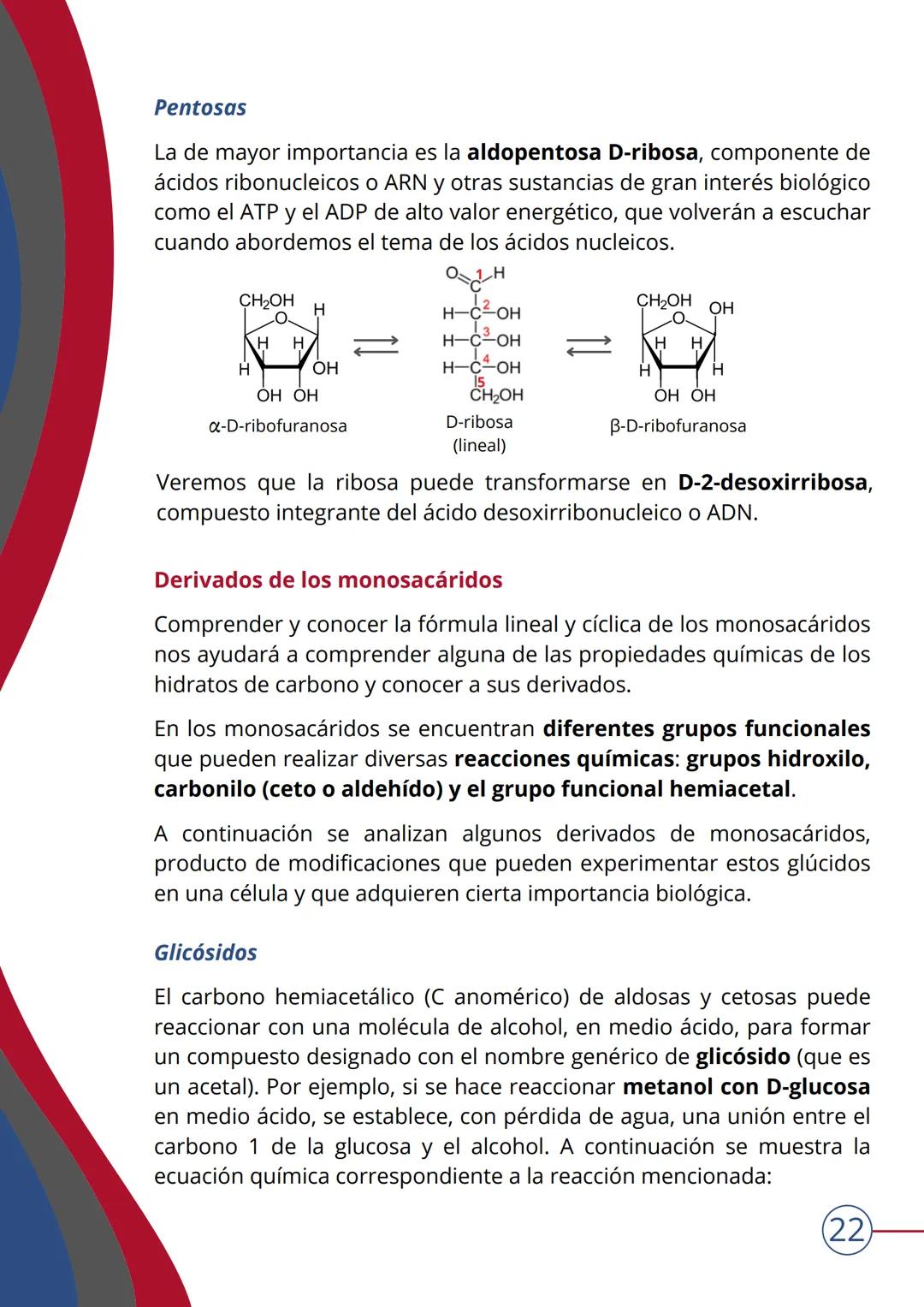 # TEMA 4
NIVEL MOLECULAR: BIOMOLÉCULAS. HIDRATOS DE
CARBONO
▶ INTRODUCCIÓN
¿Qué son las biomoléculas?
Las BIOMOLÉCULAS son las moléculas c