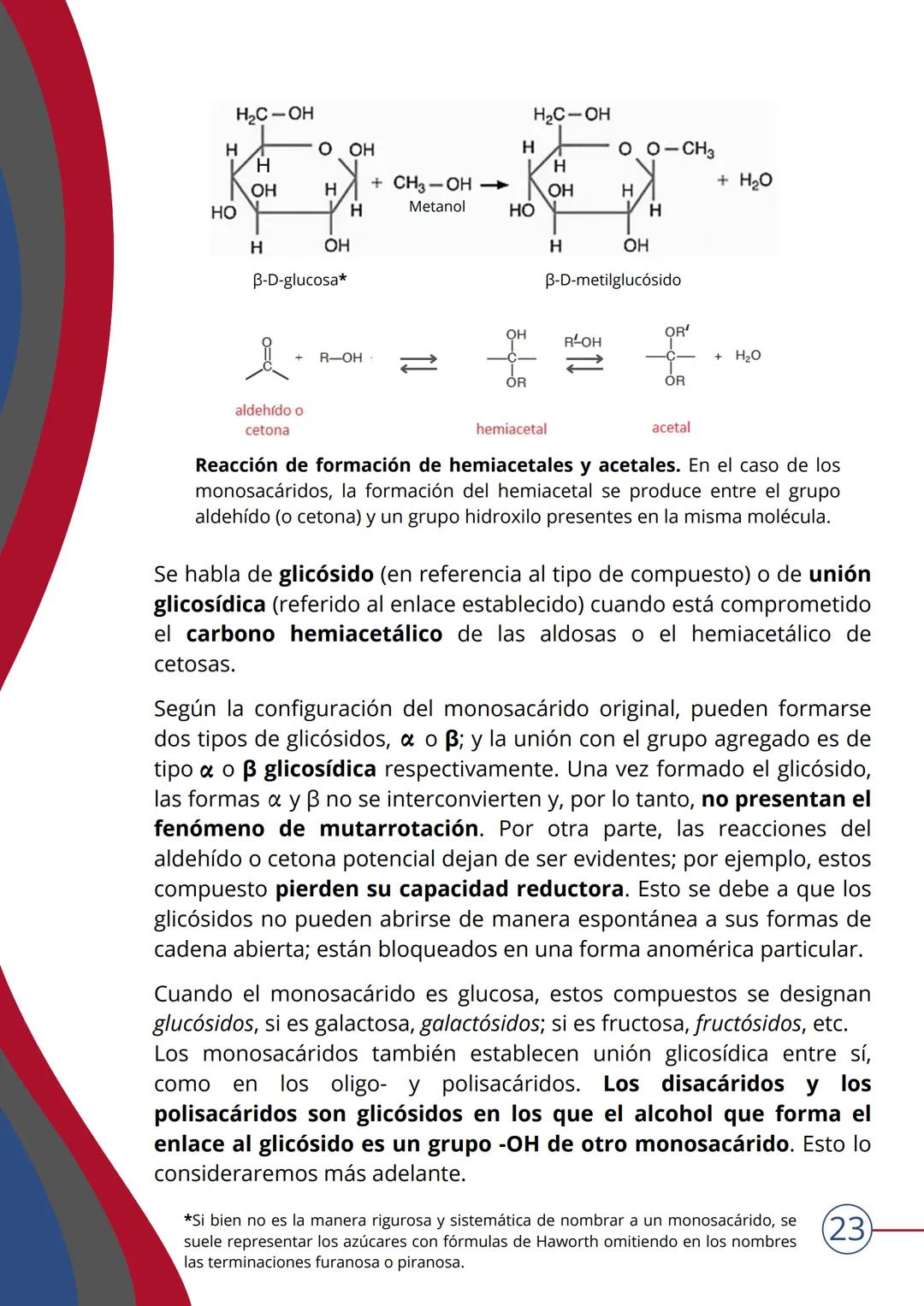 # TEMA 4
NIVEL MOLECULAR: BIOMOLÉCULAS. HIDRATOS DE
CARBONO
▶ INTRODUCCIÓN
¿Qué son las biomoléculas?
Las BIOMOLÉCULAS son las moléculas c
