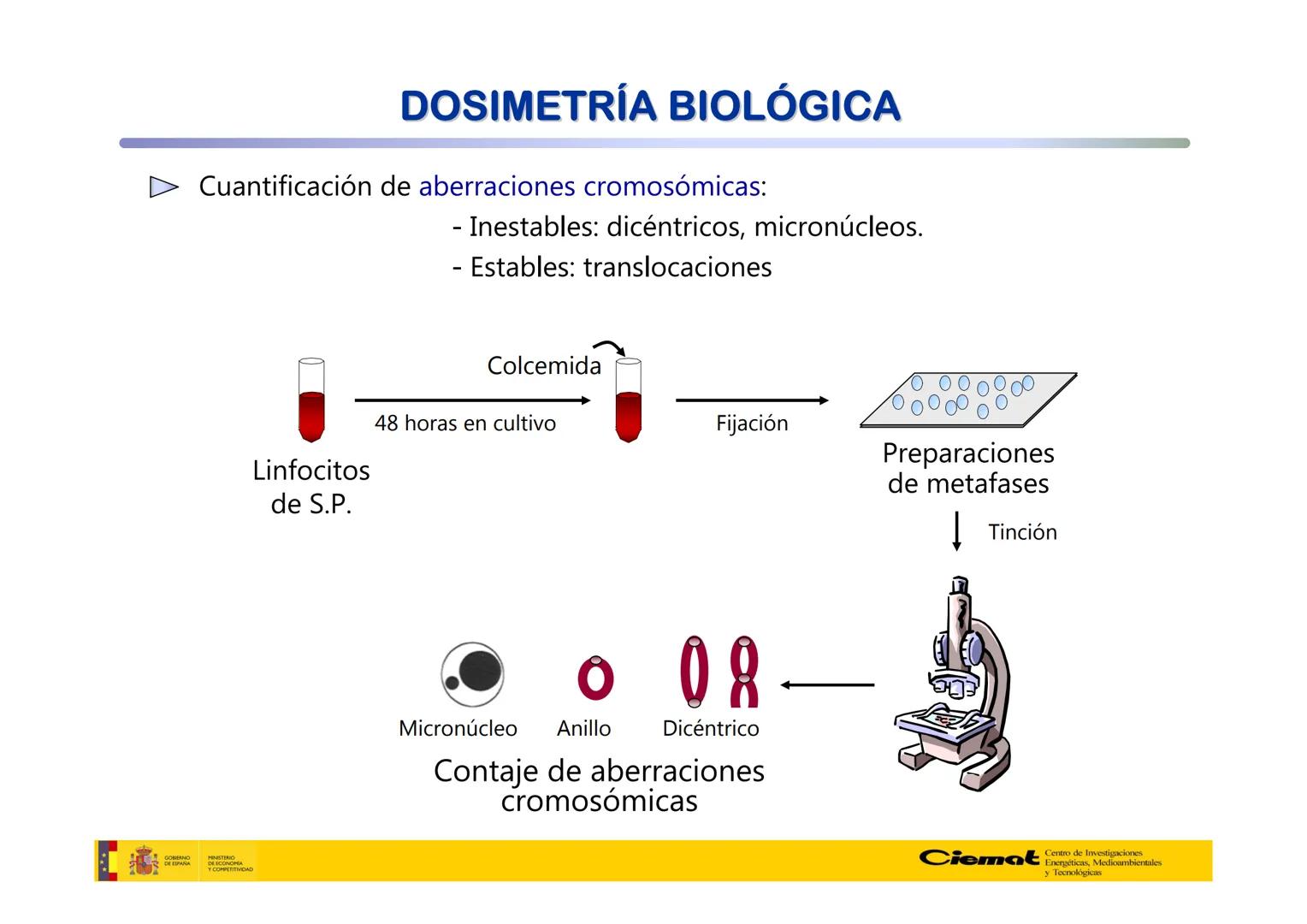 # UNIVERSIDAD COMPLUTENSE
FÍSICAS
Master de Física Biomédica. Facultad CC. Físicas- UCM
# EFECTOS BIOLÓGICOS DE LAS
# RADIACIONES IONIZANT