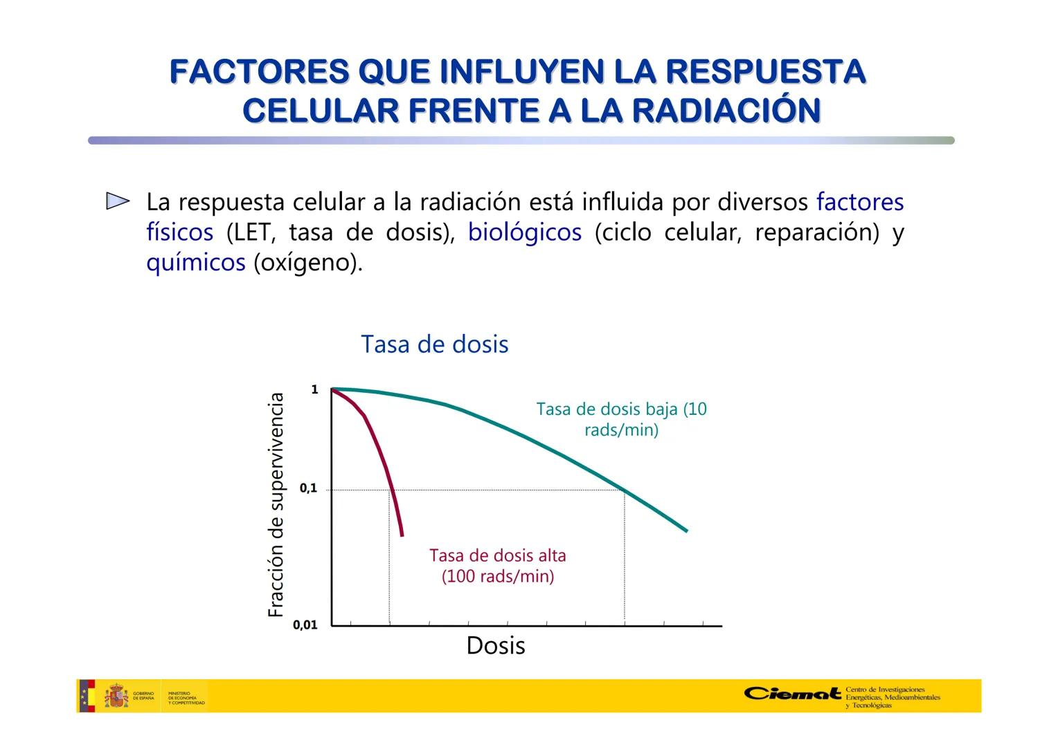 # UNIVERSIDAD COMPLUTENSE
FÍSICAS
Master de Física Biomédica. Facultad CC. Físicas- UCM
# EFECTOS BIOLÓGICOS DE LAS
# RADIACIONES IONIZANT