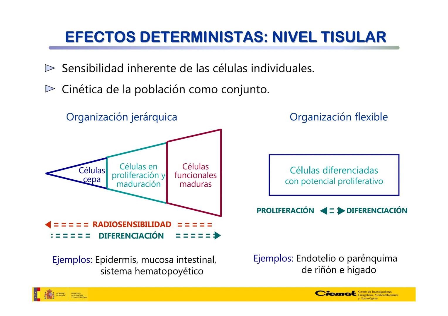 # UNIVERSIDAD COMPLUTENSE
FÍSICAS
Master de Física Biomédica. Facultad CC. Físicas- UCM
# EFECTOS BIOLÓGICOS DE LAS
# RADIACIONES IONIZANT
