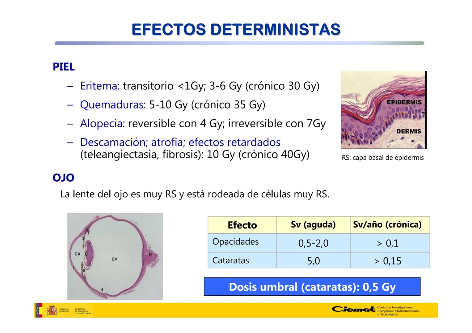 # UNIVERSIDAD COMPLUTENSE
FÍSICAS
Master de Física Biomédica. Facultad CC. Físicas- UCM
# EFECTOS BIOLÓGICOS DE LAS
# RADIACIONES IONIZANT
