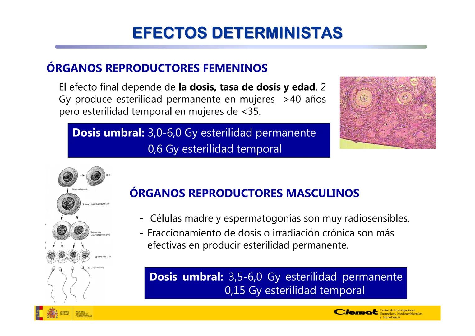 # UNIVERSIDAD COMPLUTENSE
FÍSICAS
Master de Física Biomédica. Facultad CC. Físicas- UCM
# EFECTOS BIOLÓGICOS DE LAS
# RADIACIONES IONIZANT