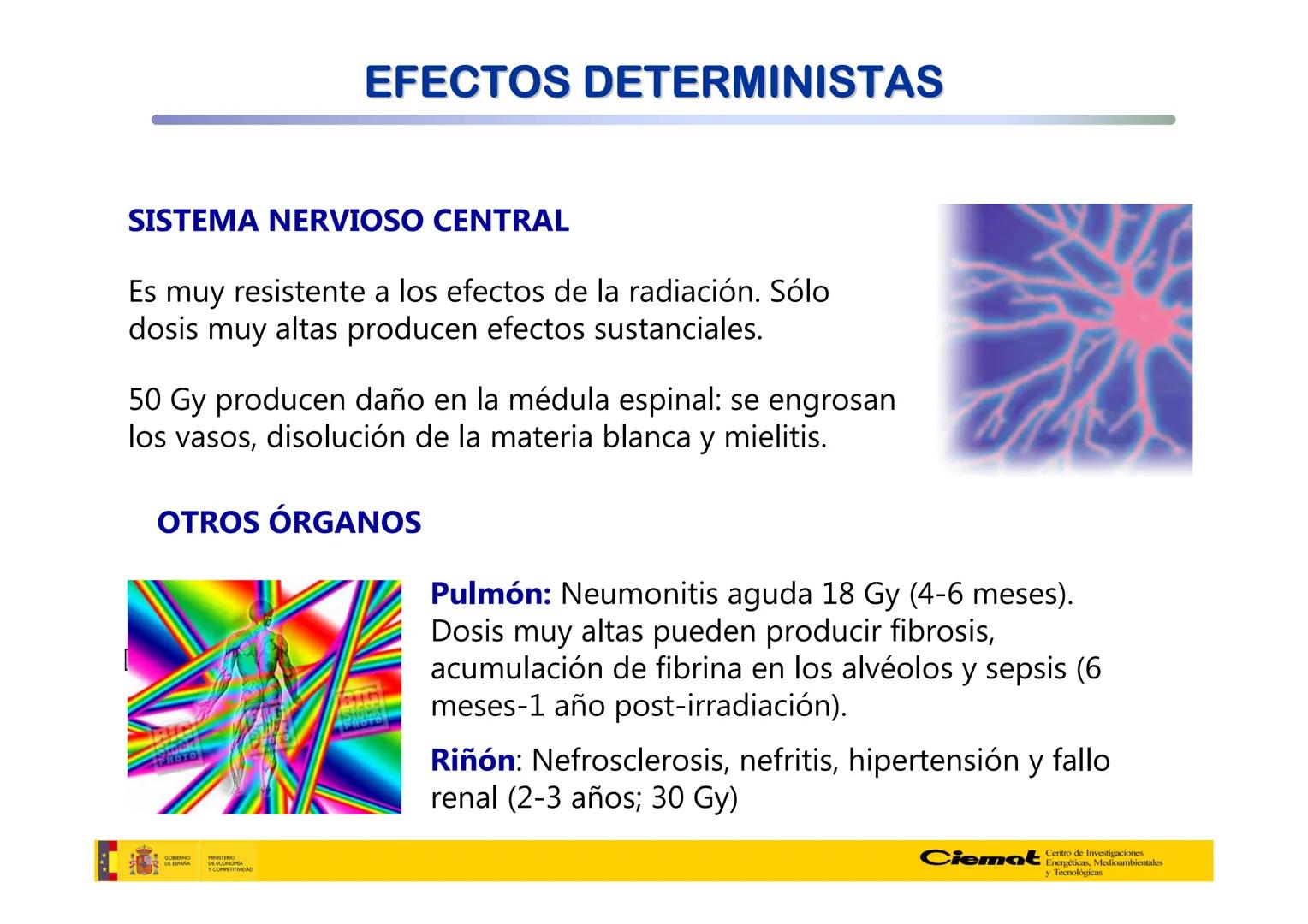 # UNIVERSIDAD COMPLUTENSE
FÍSICAS
Master de Física Biomédica. Facultad CC. Físicas- UCM
# EFECTOS BIOLÓGICOS DE LAS
# RADIACIONES IONIZANT