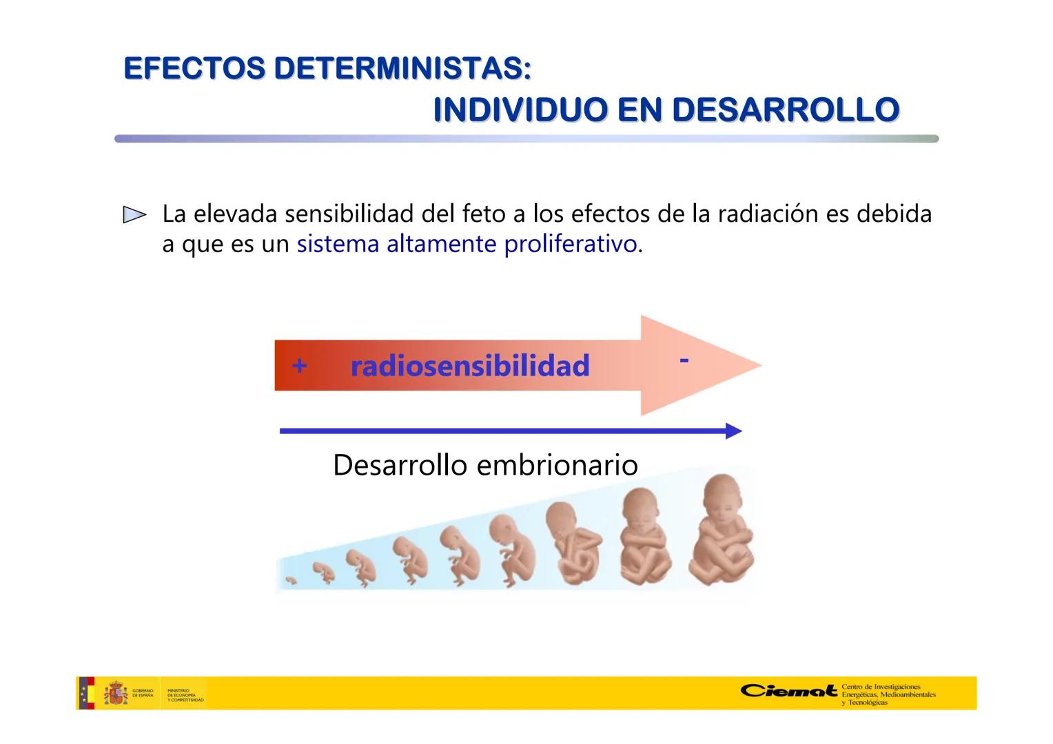 # UNIVERSIDAD COMPLUTENSE
FÍSICAS
Master de Física Biomédica. Facultad CC. Físicas- UCM
# EFECTOS BIOLÓGICOS DE LAS
# RADIACIONES IONIZANT