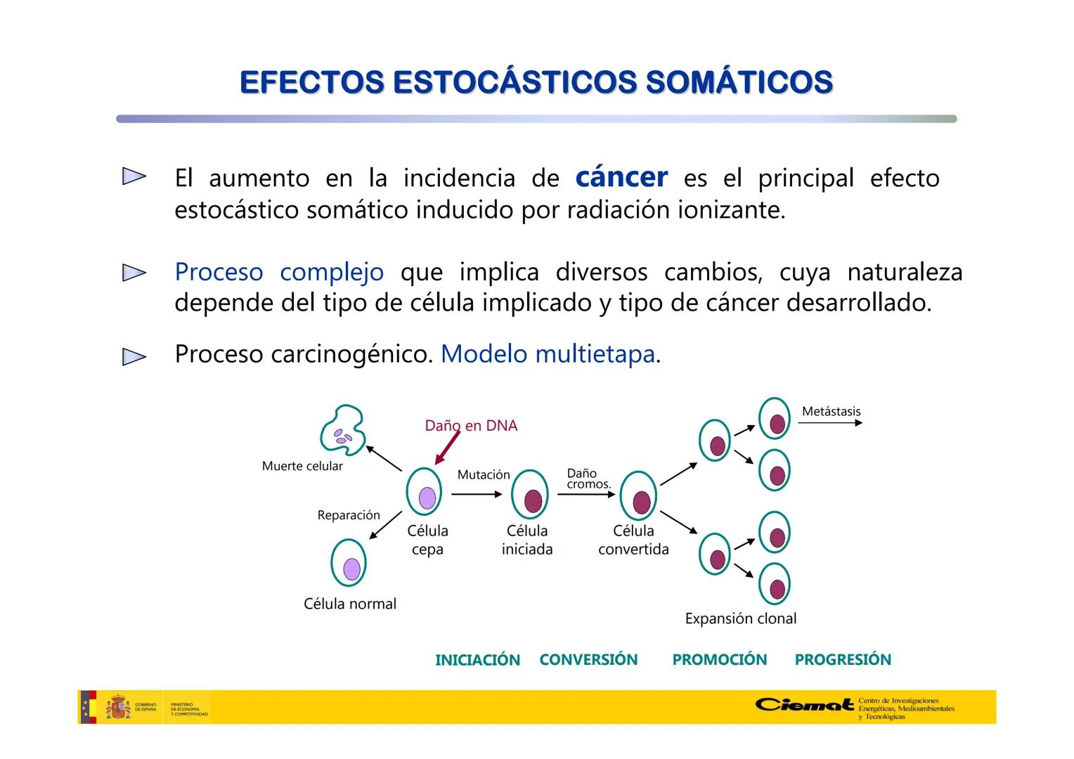 # UNIVERSIDAD COMPLUTENSE
FÍSICAS
Master de Física Biomédica. Facultad CC. Físicas- UCM
# EFECTOS BIOLÓGICOS DE LAS
# RADIACIONES IONIZANT