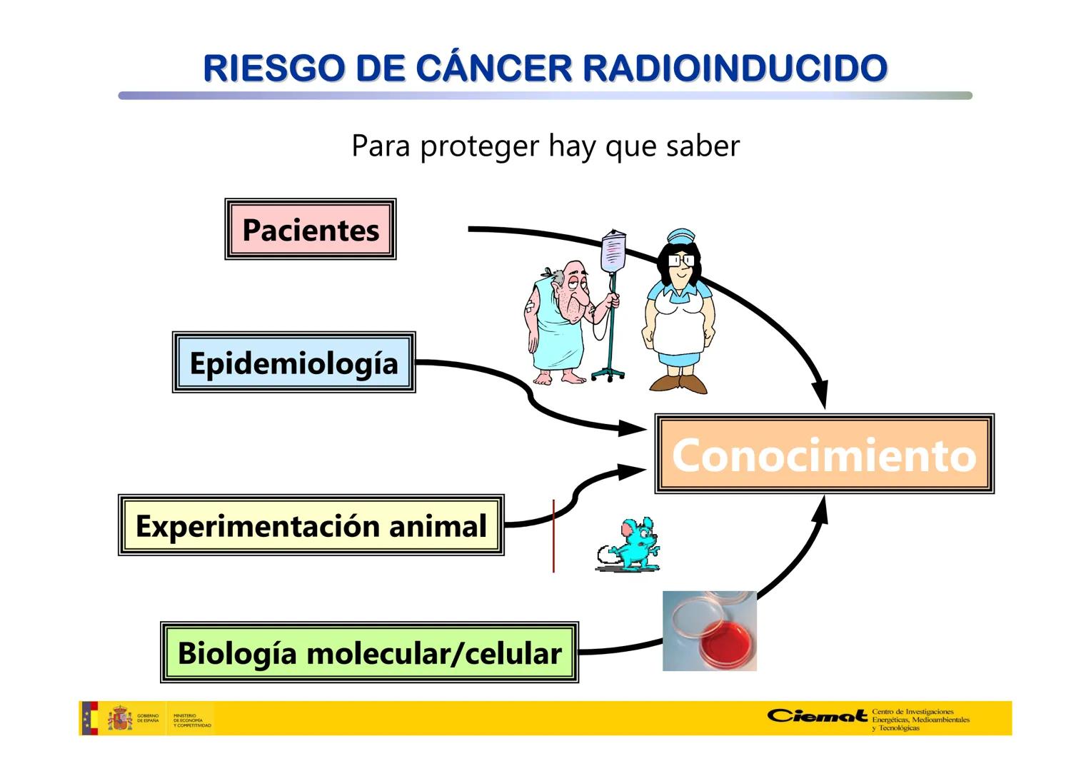 # UNIVERSIDAD COMPLUTENSE
FÍSICAS
Master de Física Biomédica. Facultad CC. Físicas- UCM
# EFECTOS BIOLÓGICOS DE LAS
# RADIACIONES IONIZANT