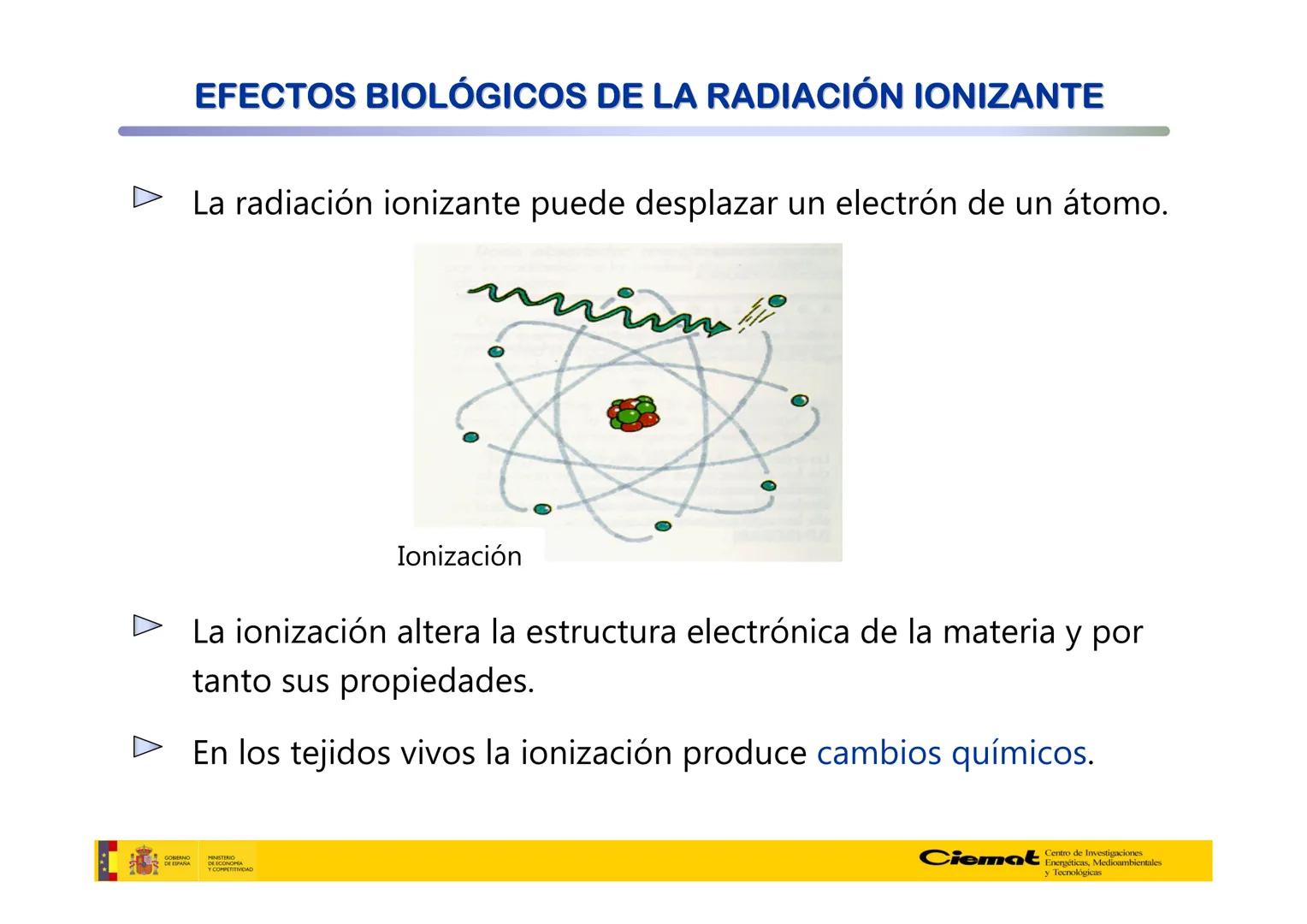 # UNIVERSIDAD COMPLUTENSE
FÍSICAS
Master de Física Biomédica. Facultad CC. Físicas- UCM
# EFECTOS BIOLÓGICOS DE LAS
# RADIACIONES IONIZANT
