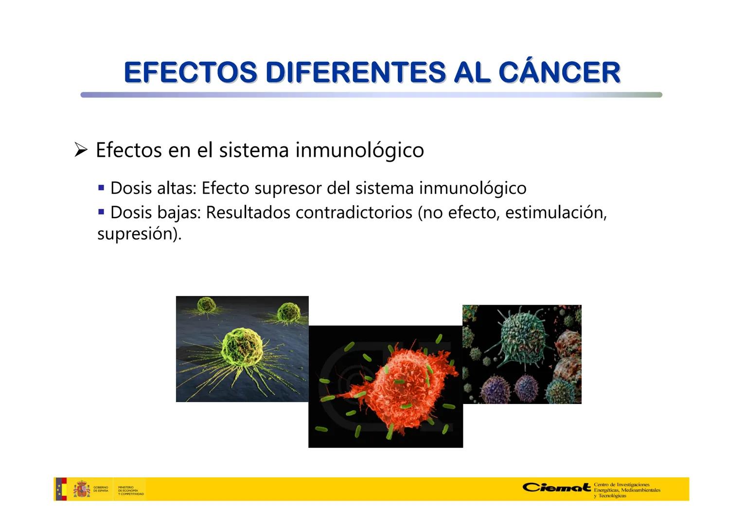 # UNIVERSIDAD COMPLUTENSE
FÍSICAS
Master de Física Biomédica. Facultad CC. Físicas- UCM
# EFECTOS BIOLÓGICOS DE LAS
# RADIACIONES IONIZANT