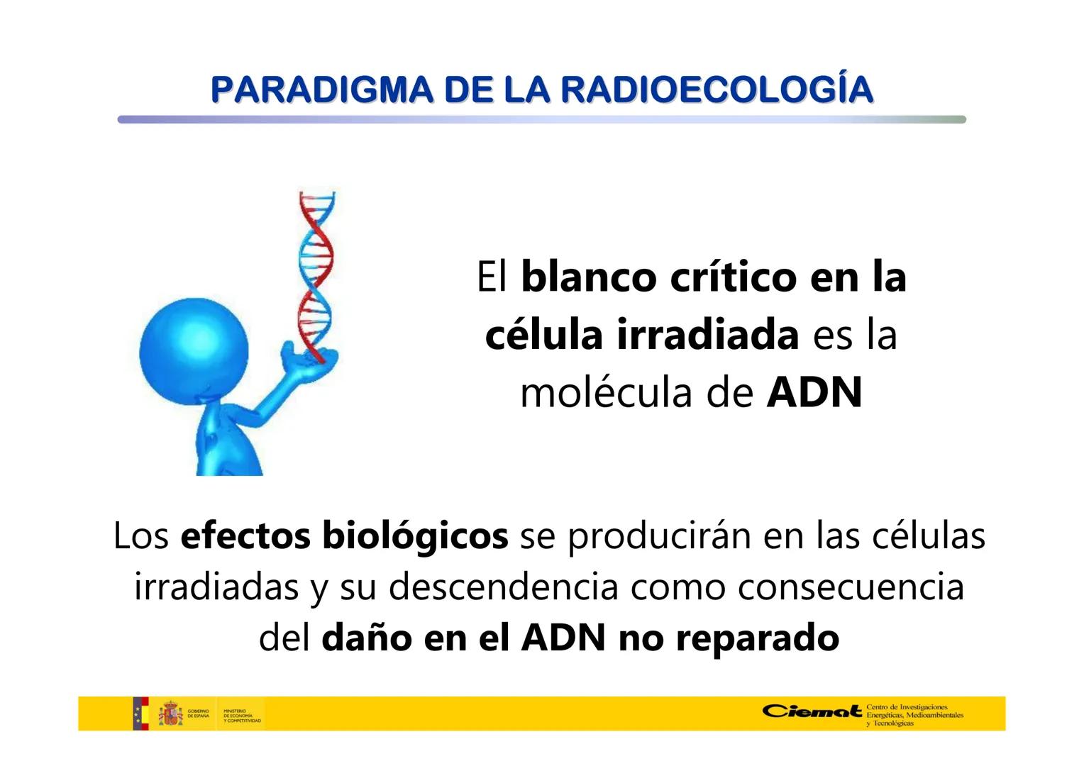 # UNIVERSIDAD COMPLUTENSE
FÍSICAS
Master de Física Biomédica. Facultad CC. Físicas- UCM
# EFECTOS BIOLÓGICOS DE LAS
# RADIACIONES IONIZANT