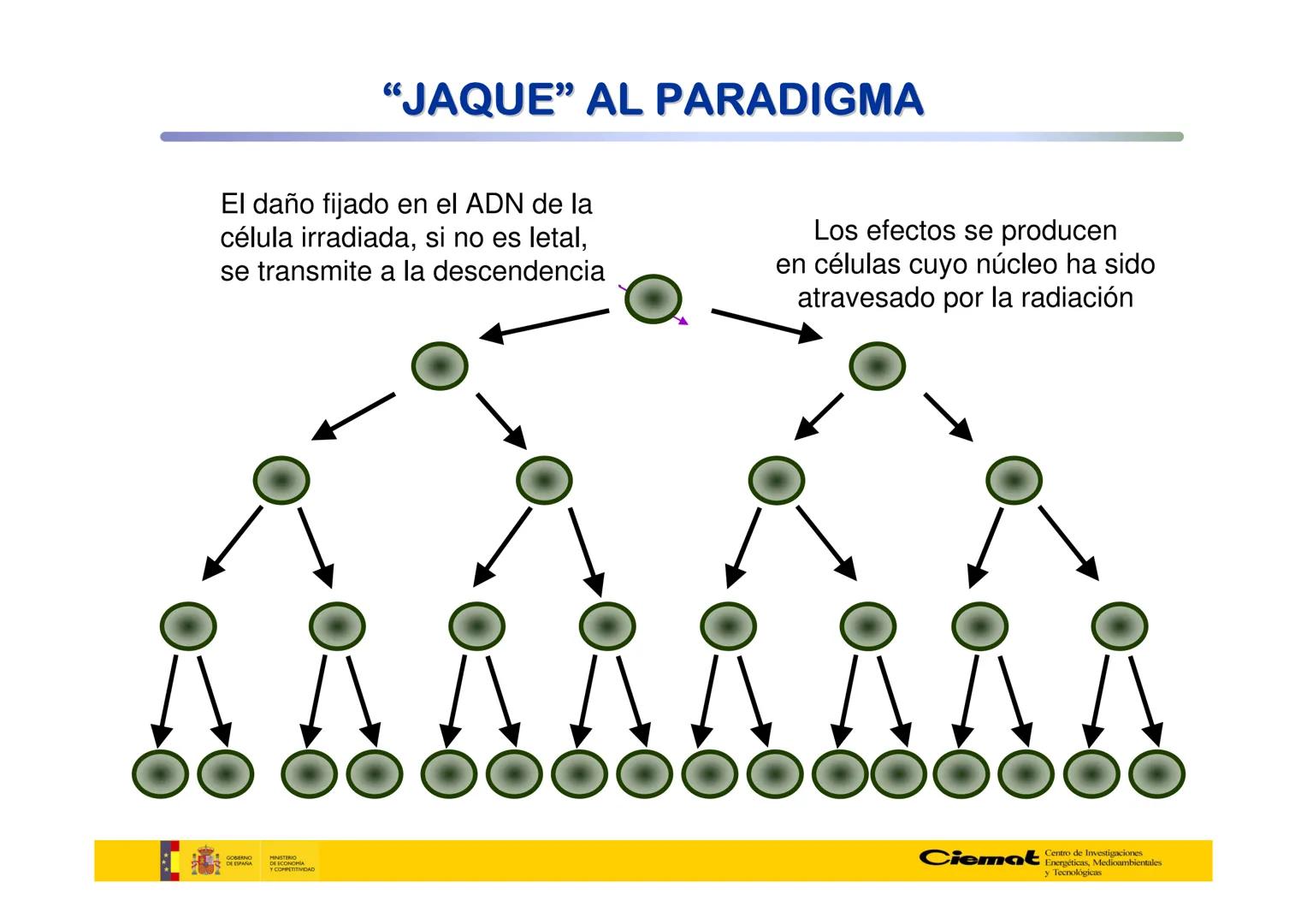 # UNIVERSIDAD COMPLUTENSE
FÍSICAS
Master de Física Biomédica. Facultad CC. Físicas- UCM
# EFECTOS BIOLÓGICOS DE LAS
# RADIACIONES IONIZANT