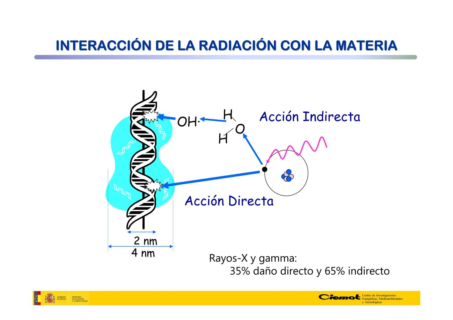# UNIVERSIDAD COMPLUTENSE
FÍSICAS
Master de Física Biomédica. Facultad CC. Físicas- UCM
# EFECTOS BIOLÓGICOS DE LAS
# RADIACIONES IONIZANT