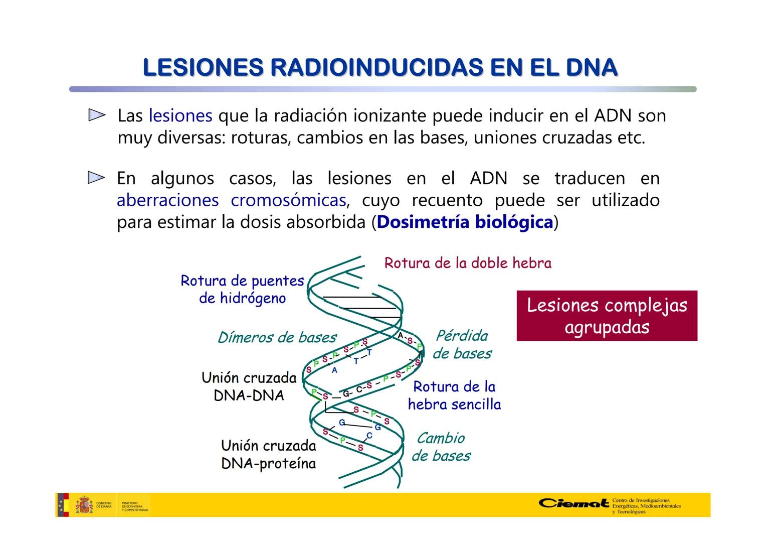 # UNIVERSIDAD COMPLUTENSE
FÍSICAS
Master de Física Biomédica. Facultad CC. Físicas- UCM
# EFECTOS BIOLÓGICOS DE LAS
# RADIACIONES IONIZANT